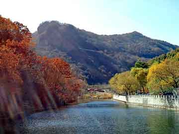 新澳天天开奖资料大全旅游团，星空游骑兵